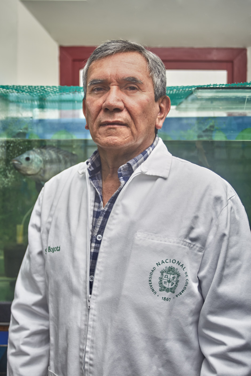Luis Gabriel Quintero Pinto