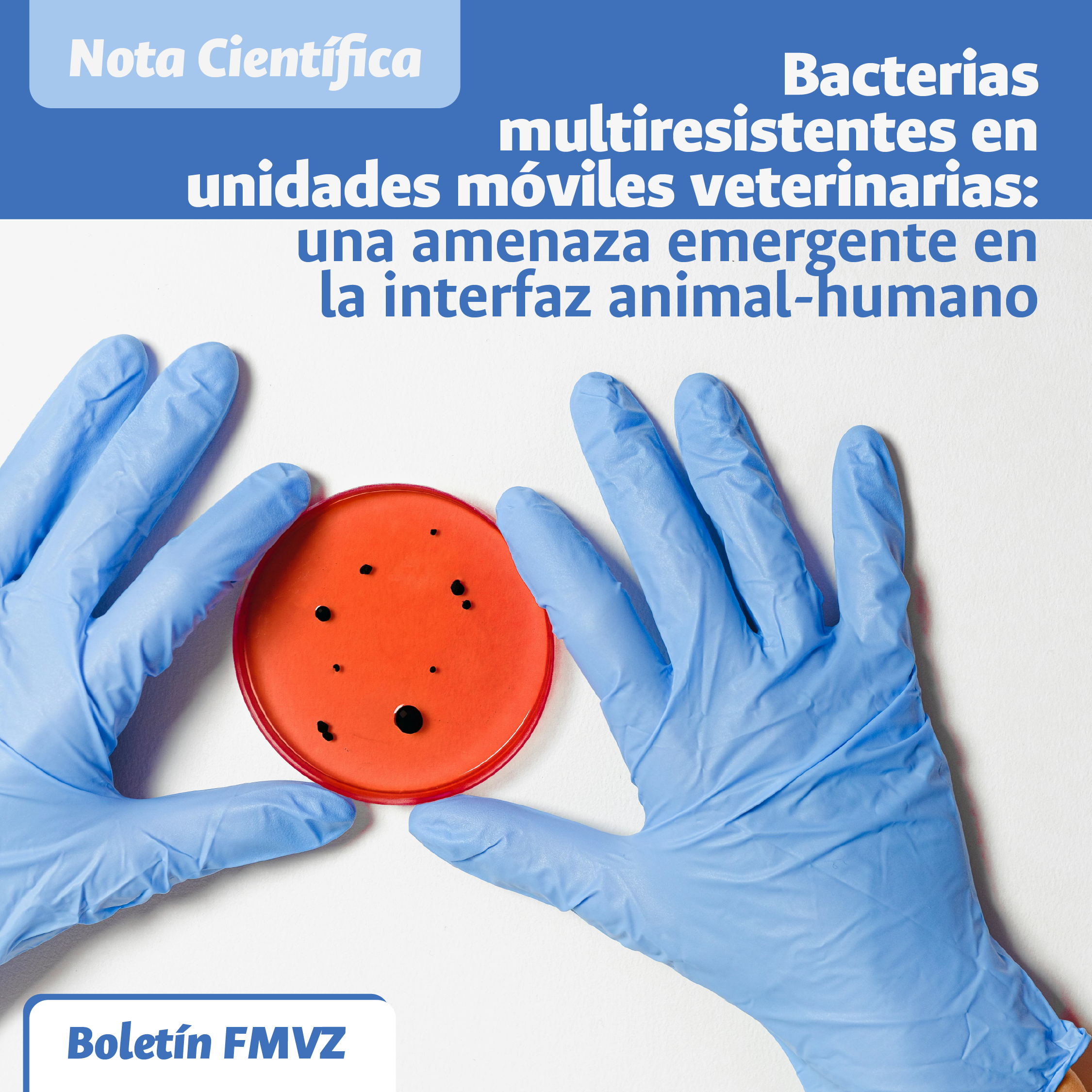 Multidrug-resistant bacteria in mobile veterinary units: an emerging threat at the animal-human interface