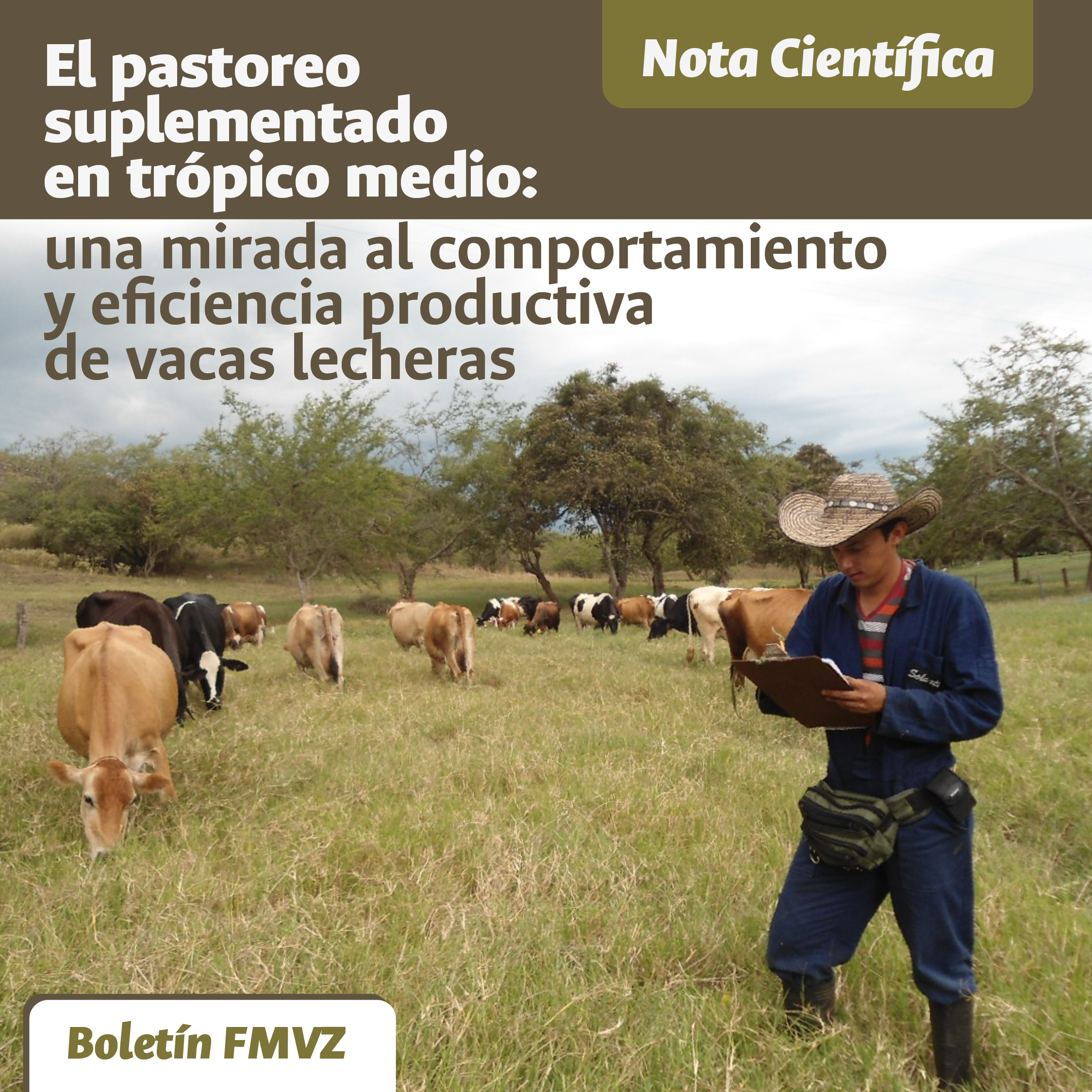Supplemental grazing in the middle tropics: a look at the behavior and productive efficiency of dairy cows